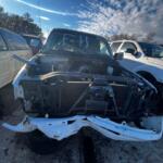 WhatsApp Image 2024-02-01 at 15.58.30_51dc4b13