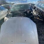 WhatsApp Image 2024-02-24 at 10.03.04_3cd83374 WhatsApp Image 2024-02-24 at 10.03.04_3cd83374