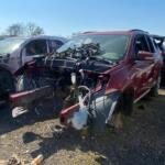 WhatsApp Image 2024-02-26 at 09.14.26_58529db2 WhatsApp Image 2024-02-26 at 09.14.26_58529db2