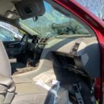 WhatsApp Image 2024-02-26 at 09.14.28_e5313604 WhatsApp Image 2024-02-26 at 09.14.28_e5313604