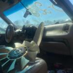 WhatsApp Image 2024-03-01 at 09.51.35_43805b99